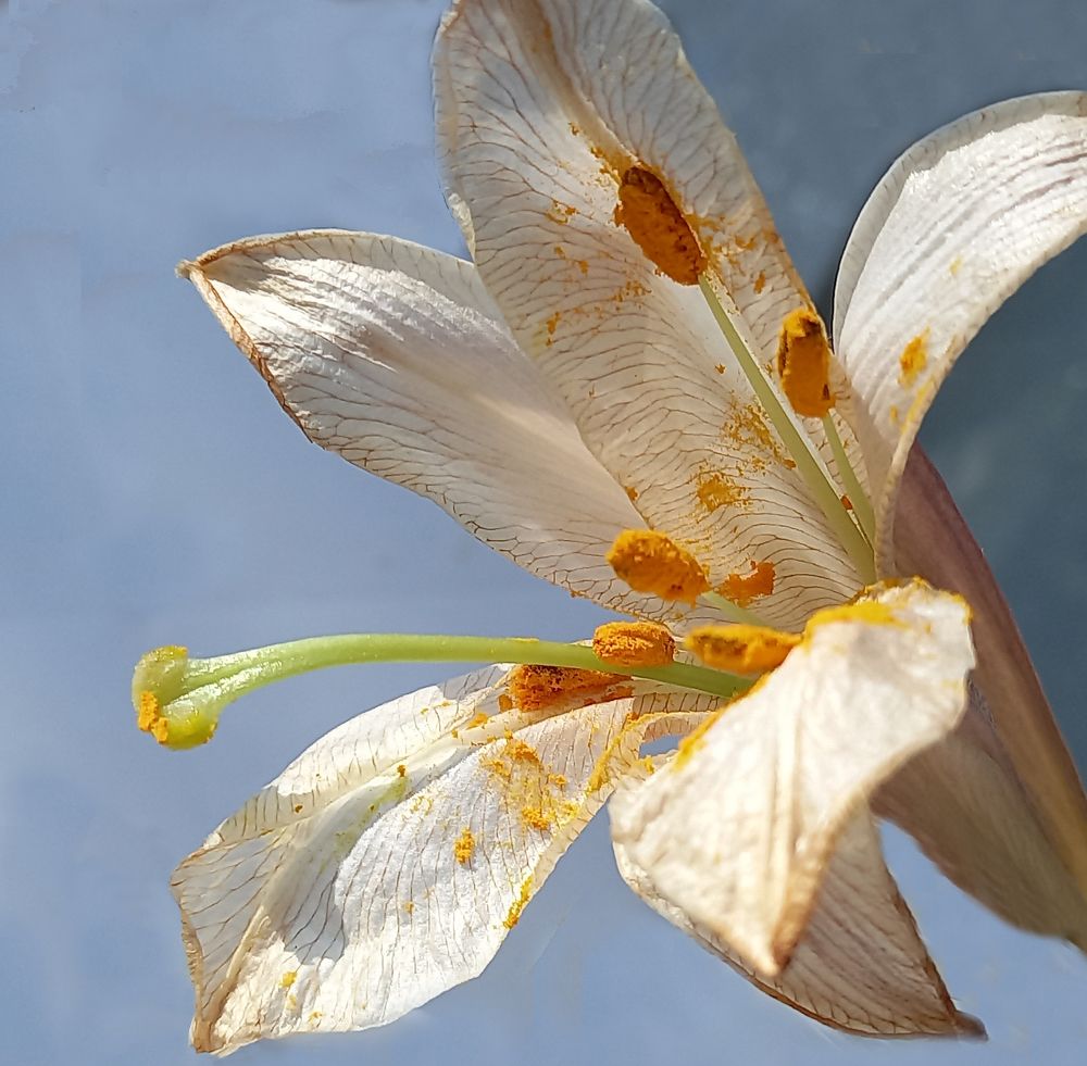 Photograph by Ирина Архипова