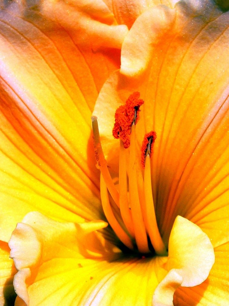 Photograph by 