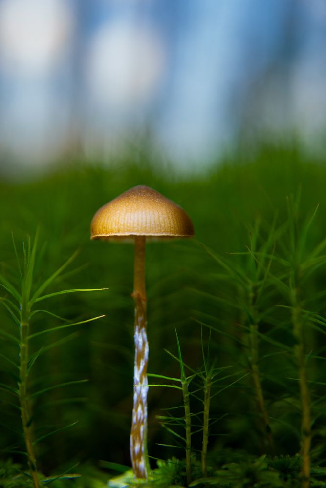 Photograph by Андреев Роман