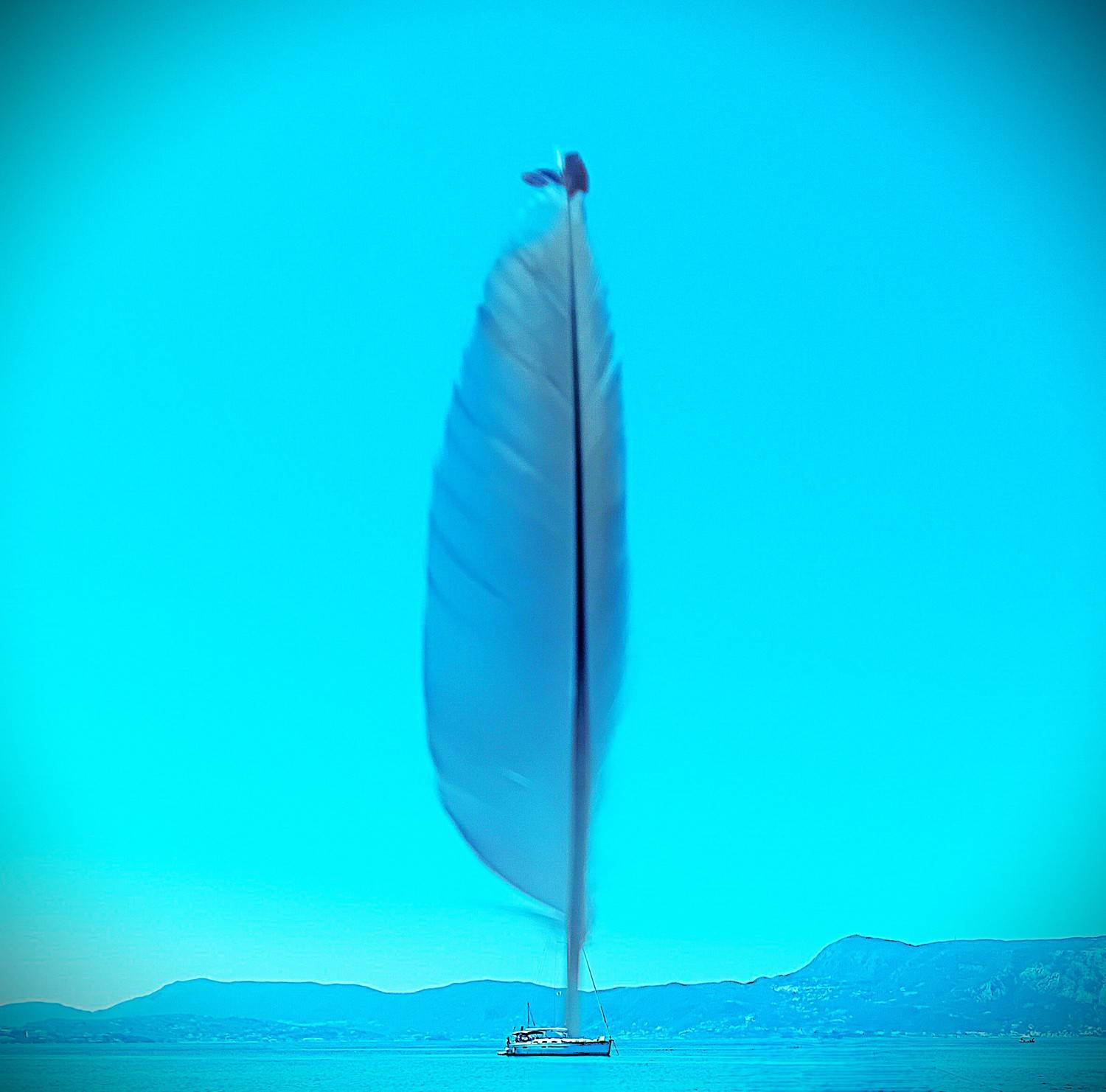 Wing on the boat