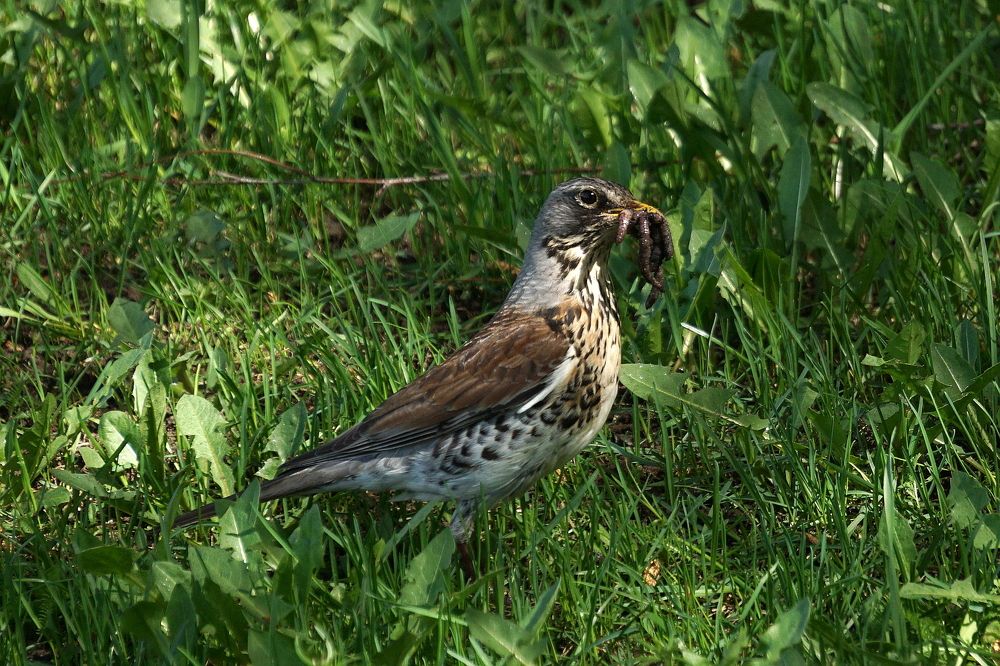 Photograph by Игорь Семеновский