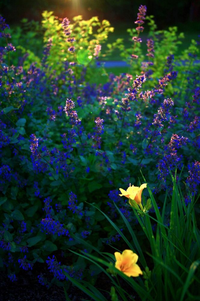 Фотография автора Сергей Барановский