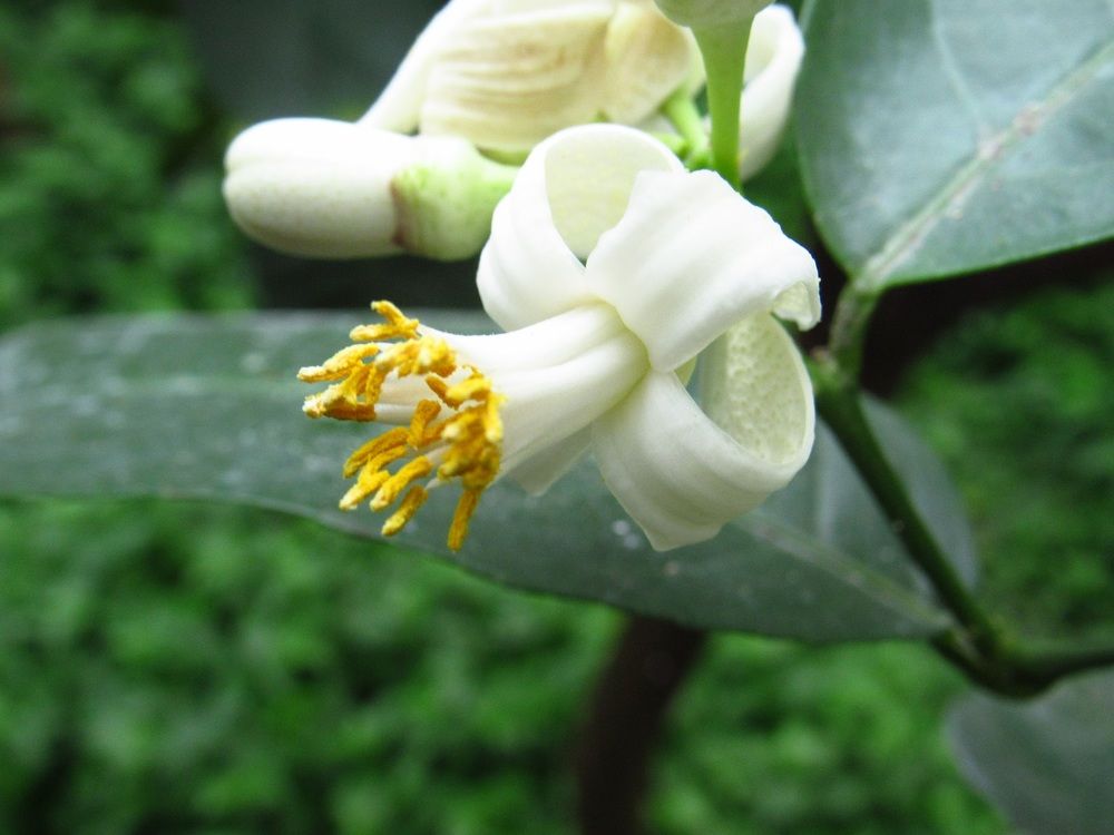 Photograph by Денис Веску