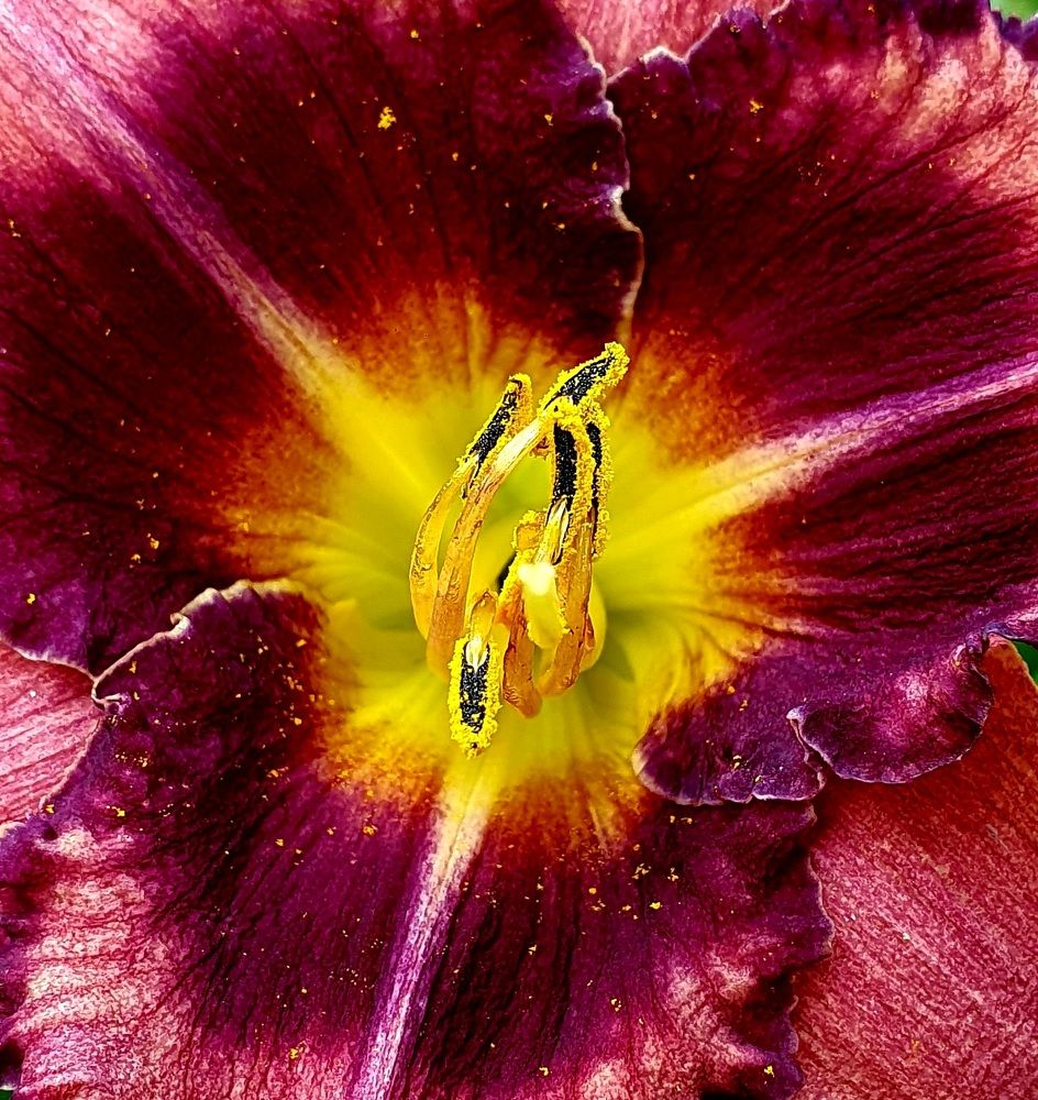 Photograph by Яна Галимуллина