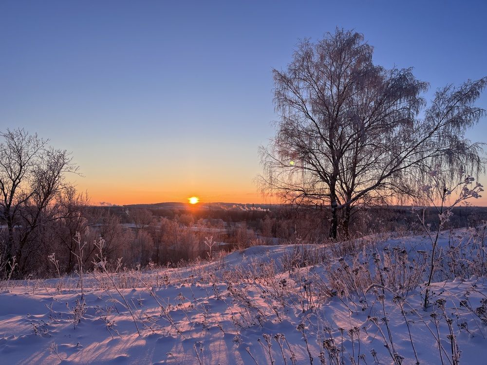 Photograph by Любовь Носова