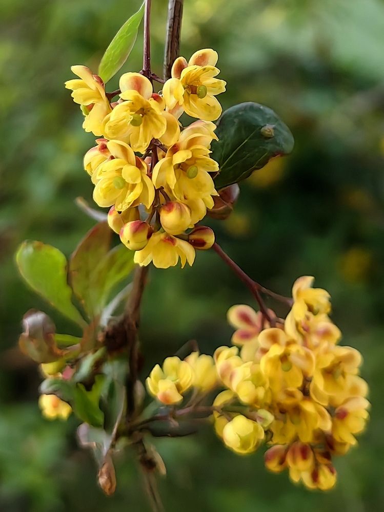 Фотография автора Olga Golubkova