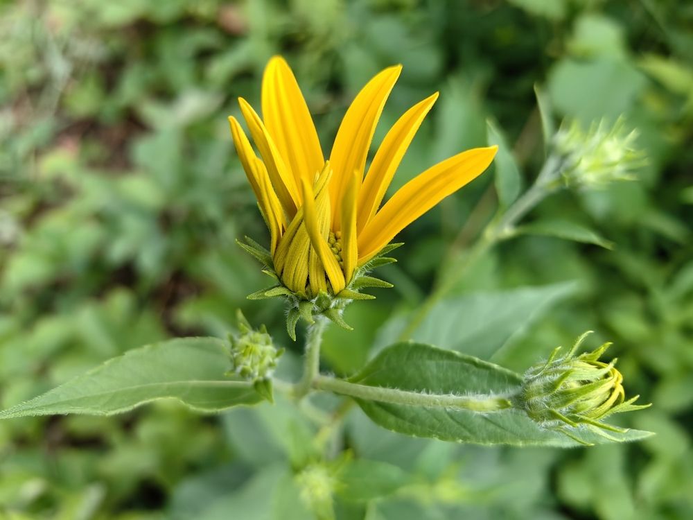 Фотография автора Olga Golubkova