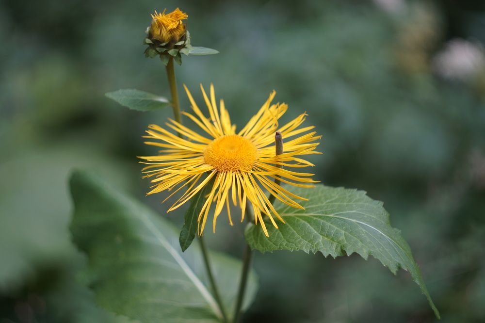 Фотография автора Сергей