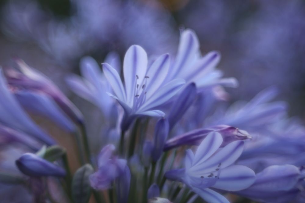 Photograph by Anna Perevozchikova