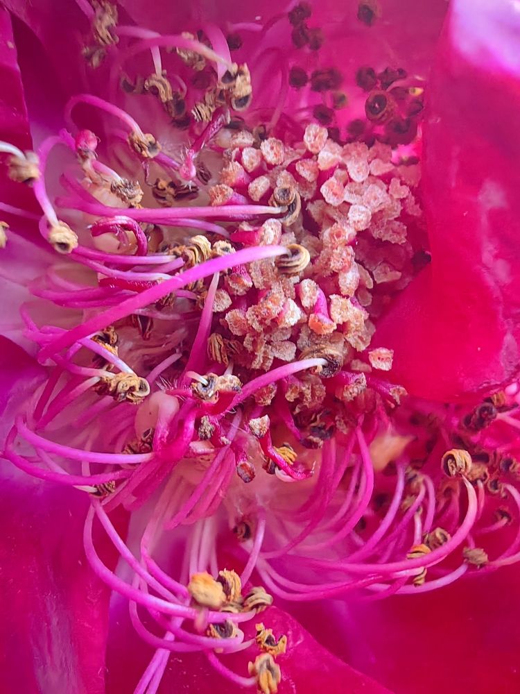 Photograph by Oleg Guchgeldiyev