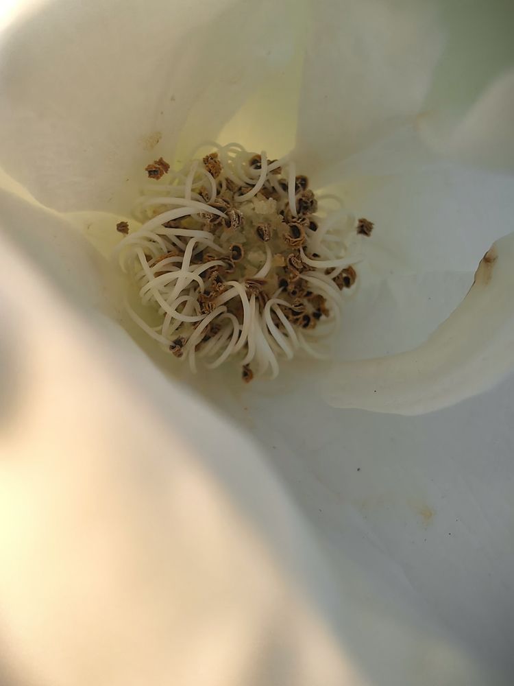 Photograph by Oleg Guchgeldiyev