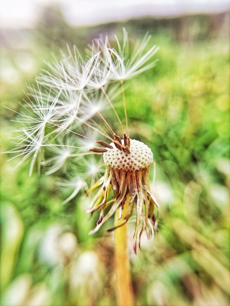 Photograph by Елена Павлова