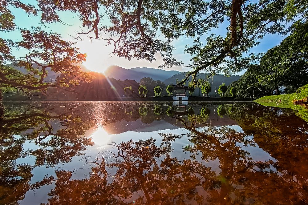 The Green Beauty of Taiping Lake Park, Perak, Malaysia