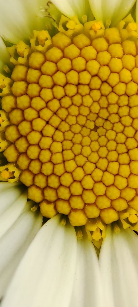 Photograph by Евгений Захаров