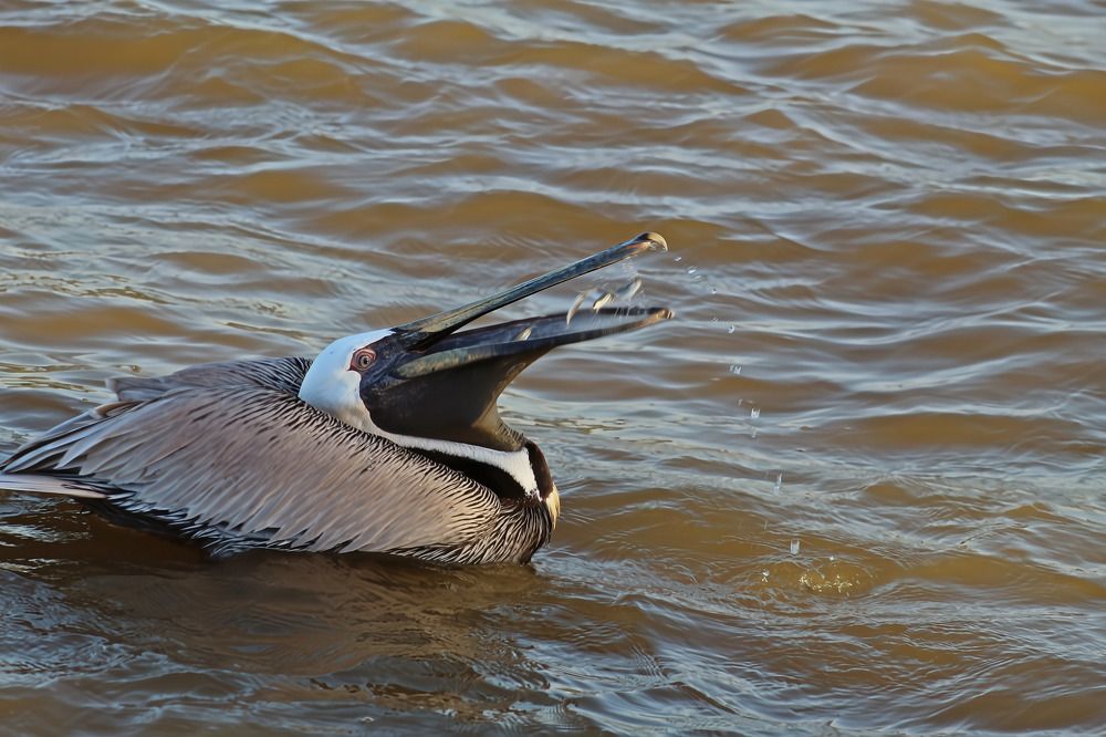 Фотография автора Jeff Cooley