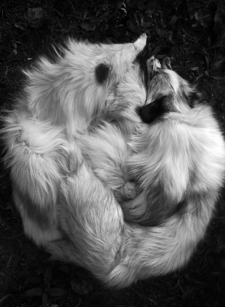 Photograph by Александр Зарх