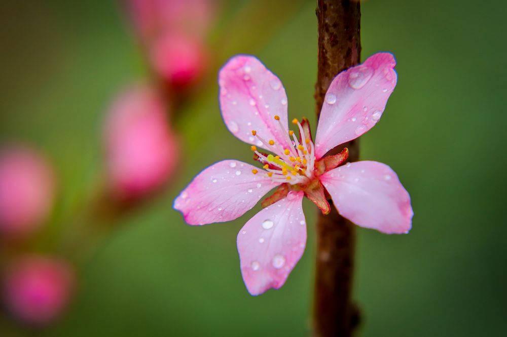 Фотография автора Юрий Фефилов