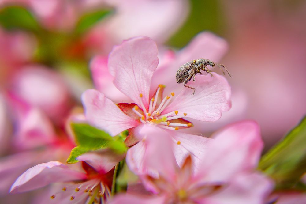 Фотография автора Юрий Фефилов
