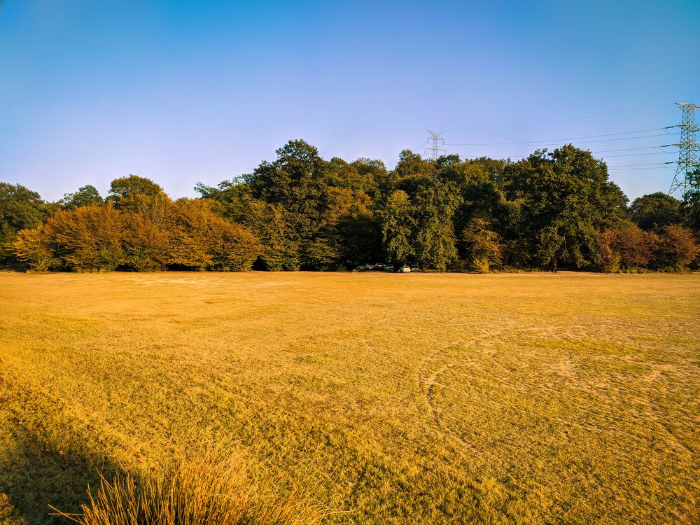 Photograph by mehdi shokravi