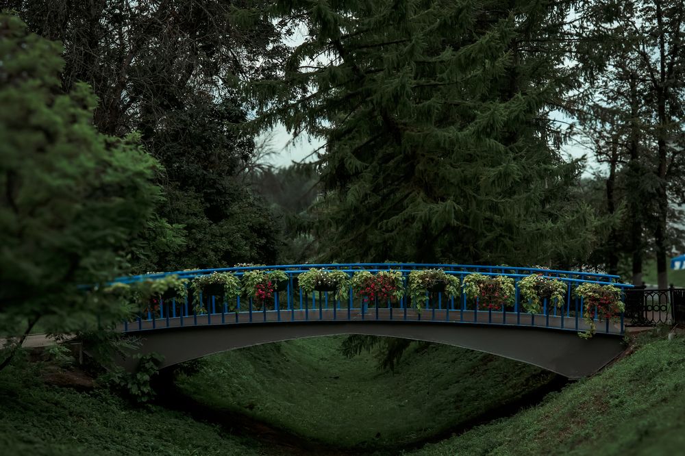 Photograph by Марина Суздаль