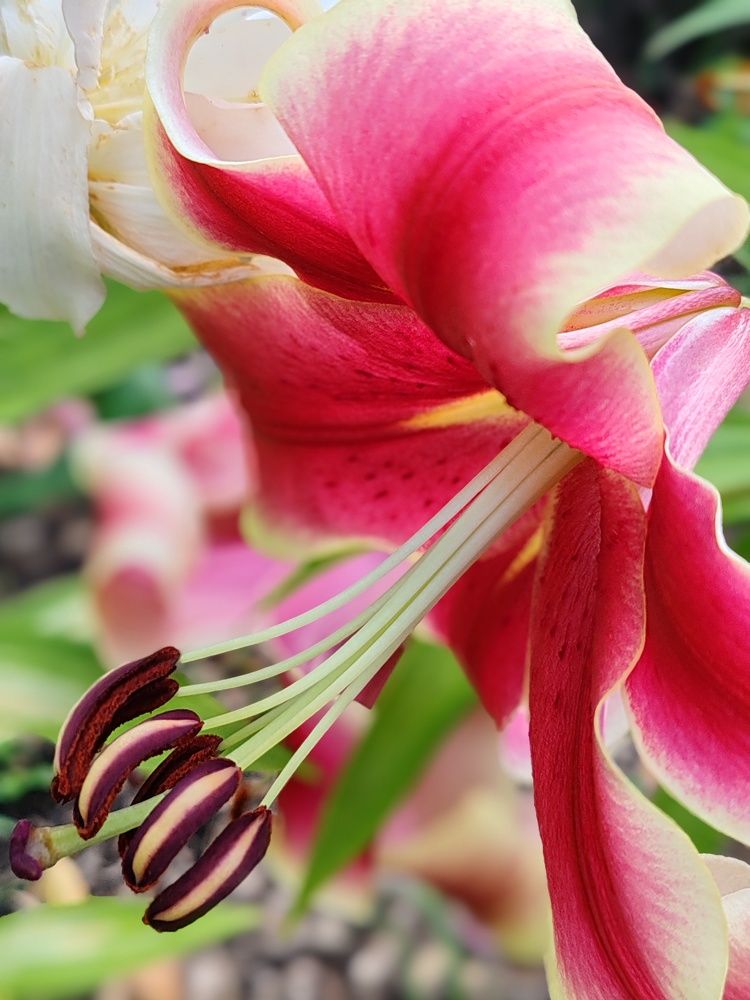 Photograph by Наталья Круглова