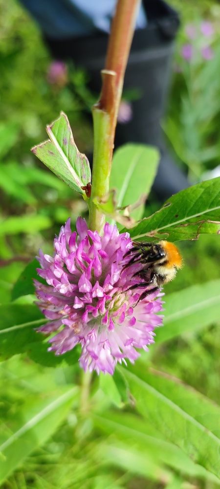 Photograph by Евгений Захаров
