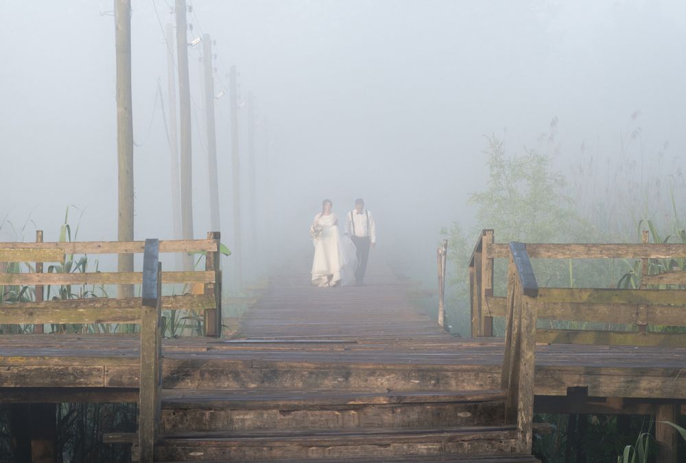 Photograph by hamed khalili