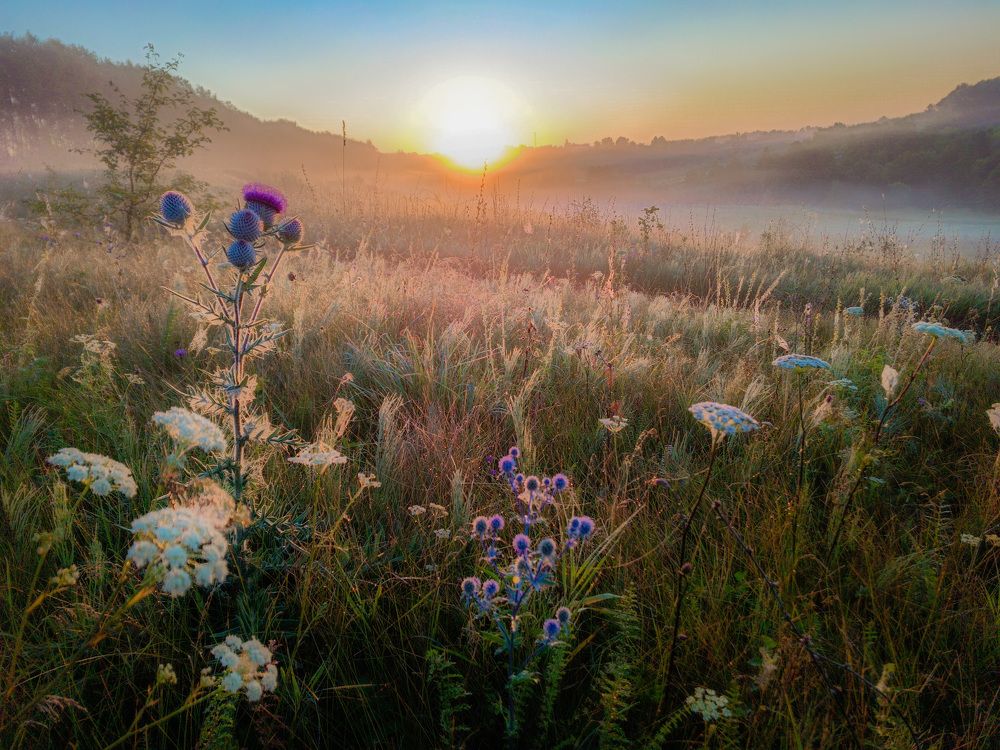 Photograph by Кондрашова Светлана