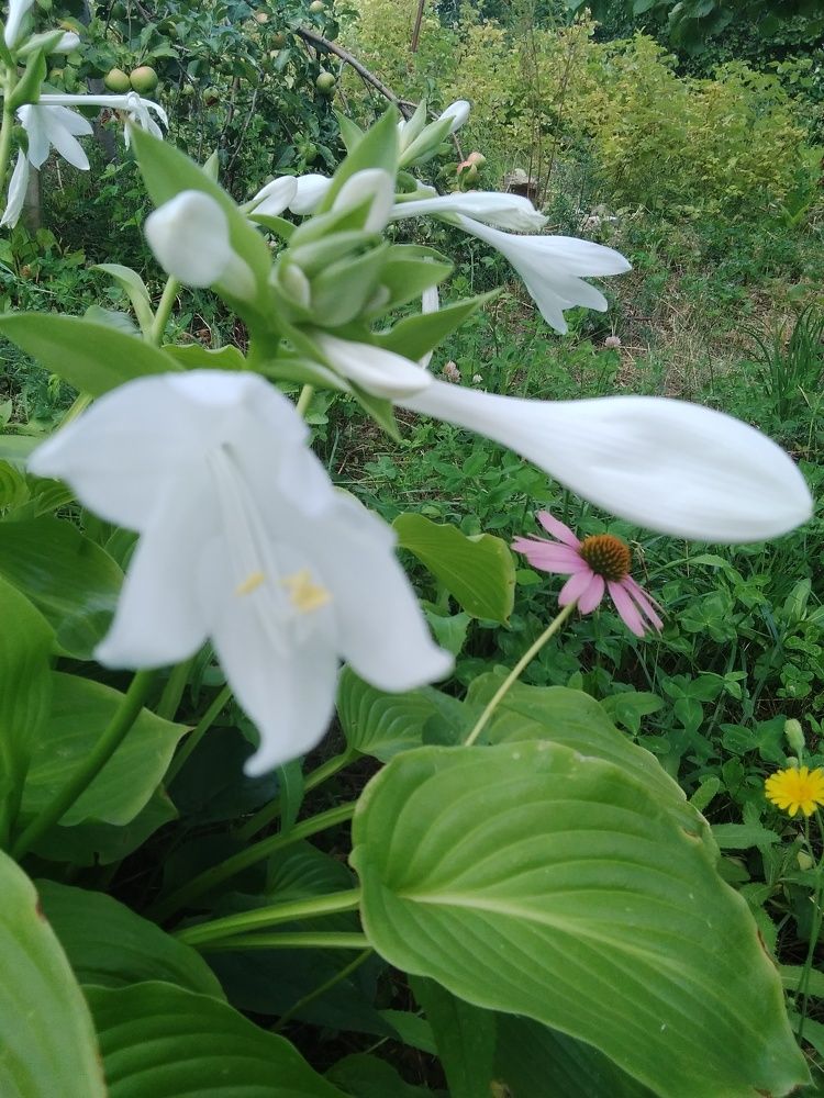 Photograph by Марта Васильева