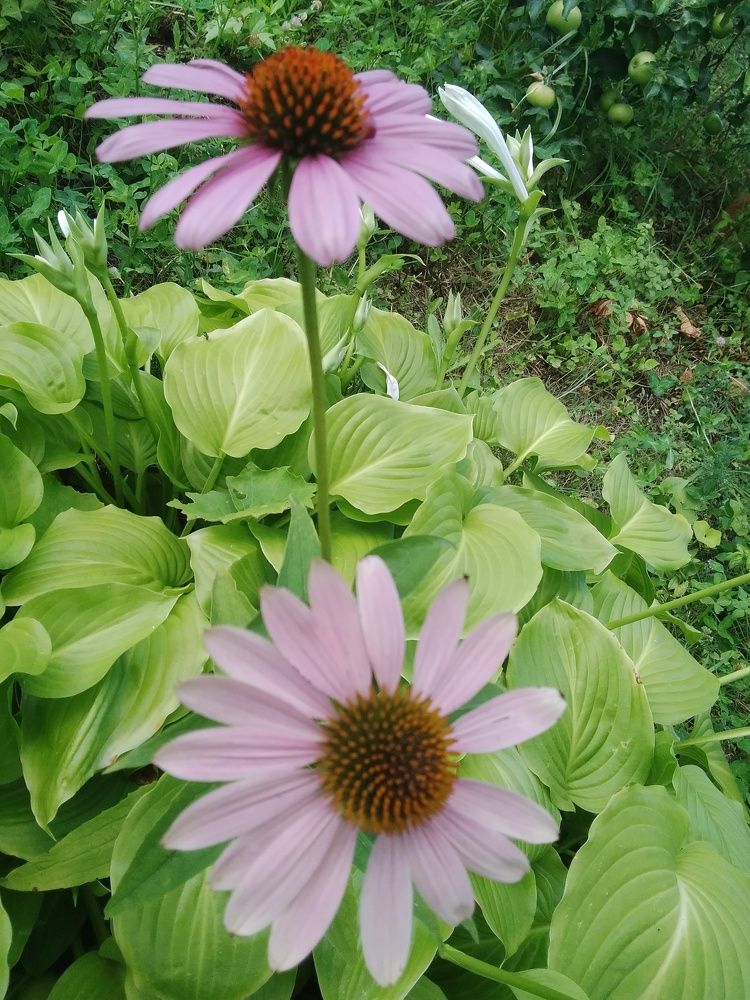 Photograph by Марта Васильева