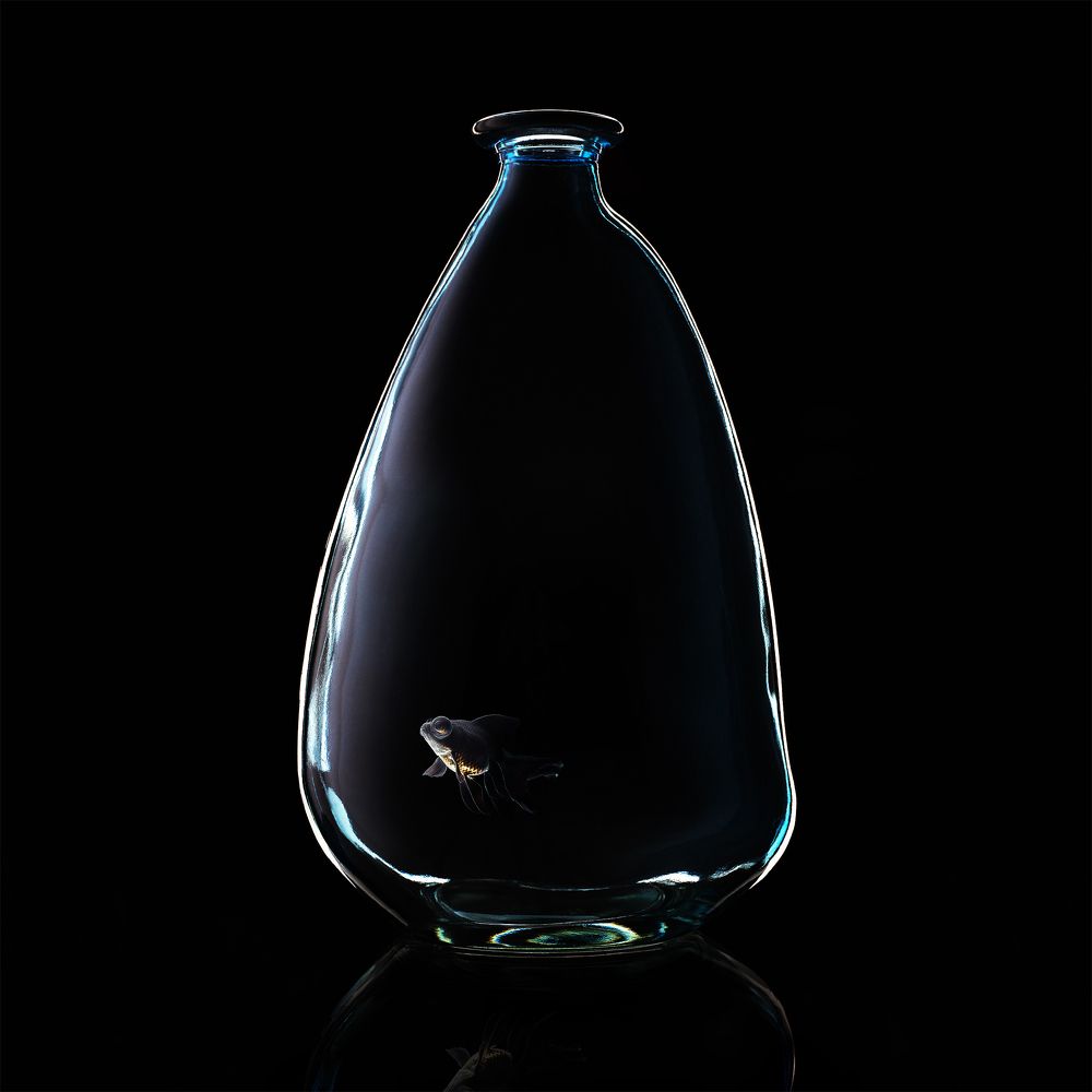 Photograph by Геннадий Суслов