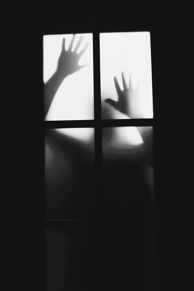 Photograph by Владимир Грибков