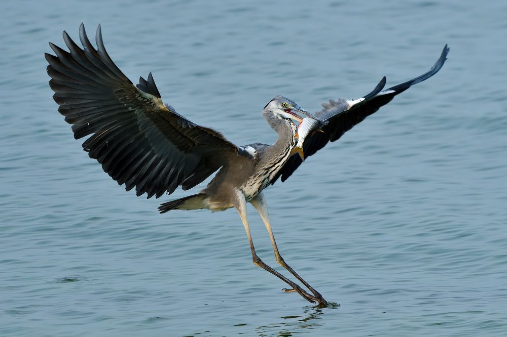 Photograph by Вячеслав Ладанов