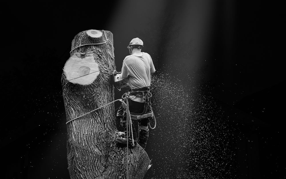 Photograph by Zhenhuan Zhou