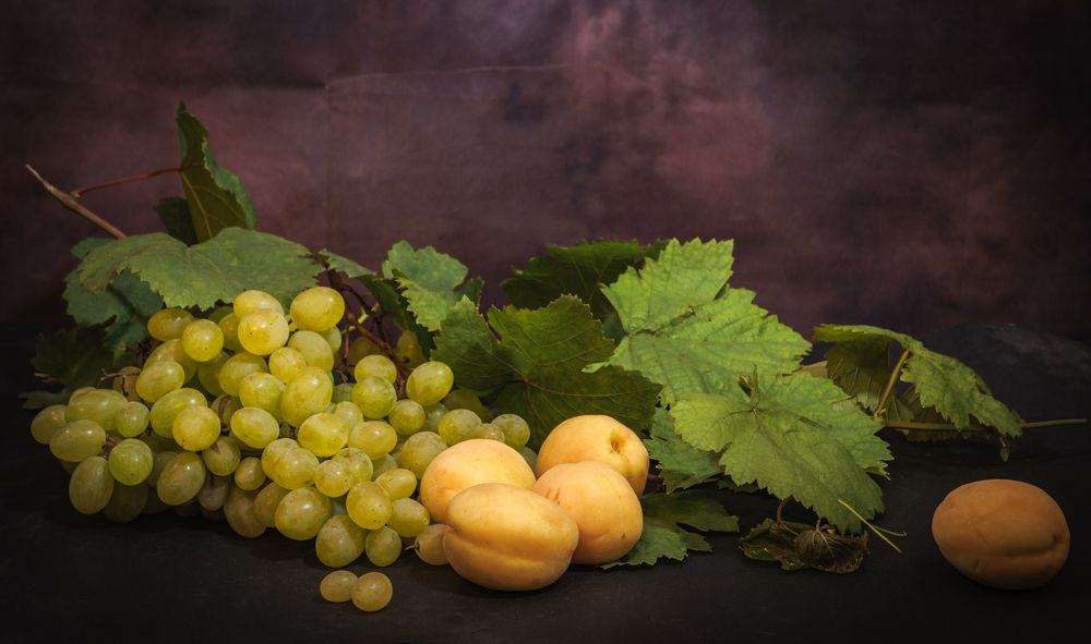 Photograph by Alex Kalpus