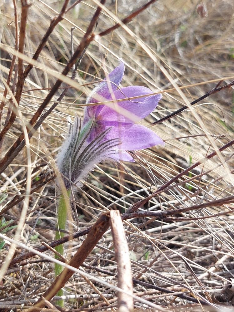 Photograph by Наталья Дубовкина