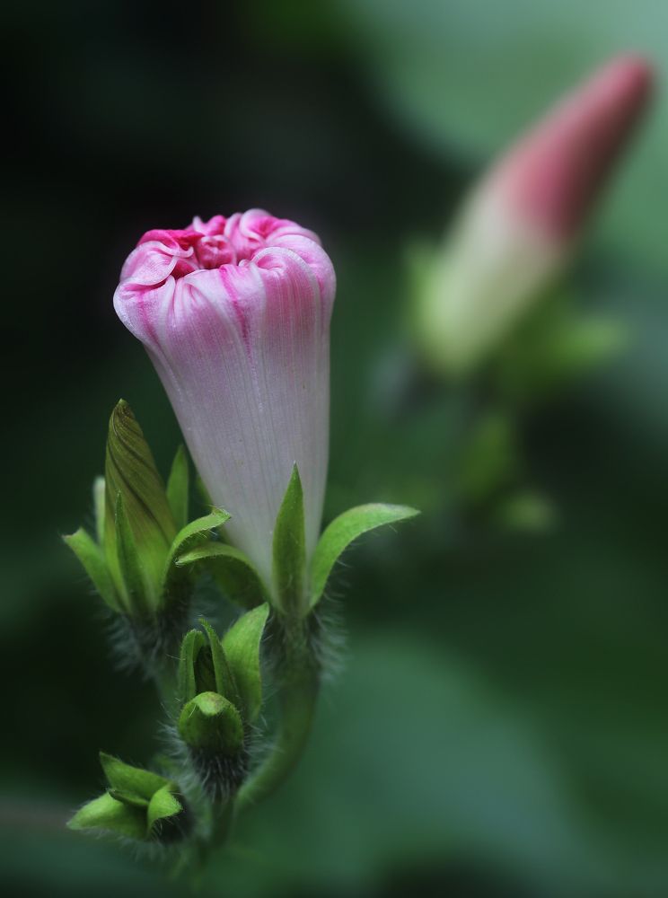 Photograph by Виталий Першин