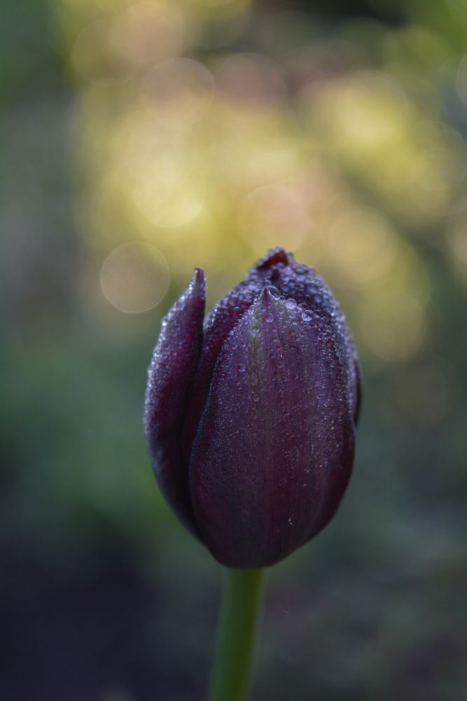 Photograph by Валентин Иванов