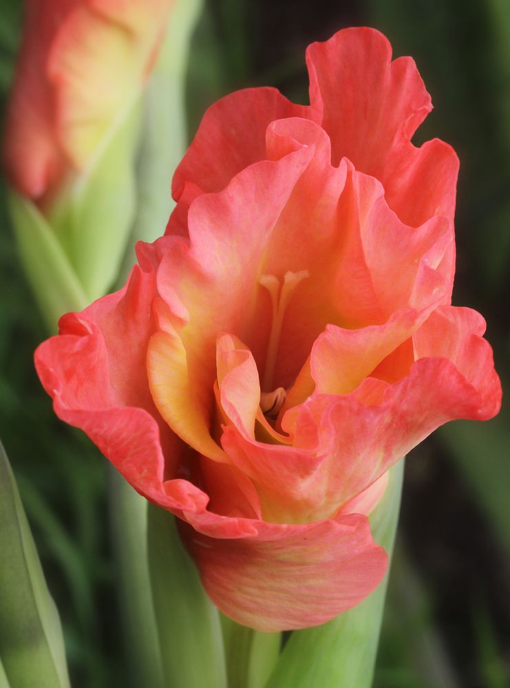 Photograph by Виталий Першин