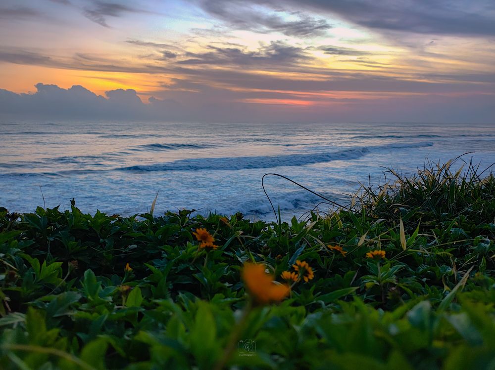 Photograph by GOVIND VISWANATH