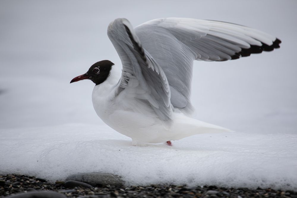 Photograph by Andrey Kul