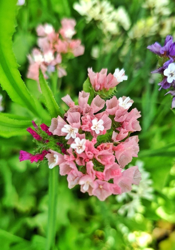 Photograph by Мария Андреева