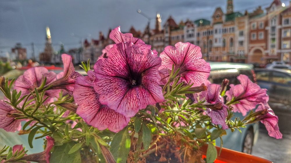 Photograph by Мария Андреева