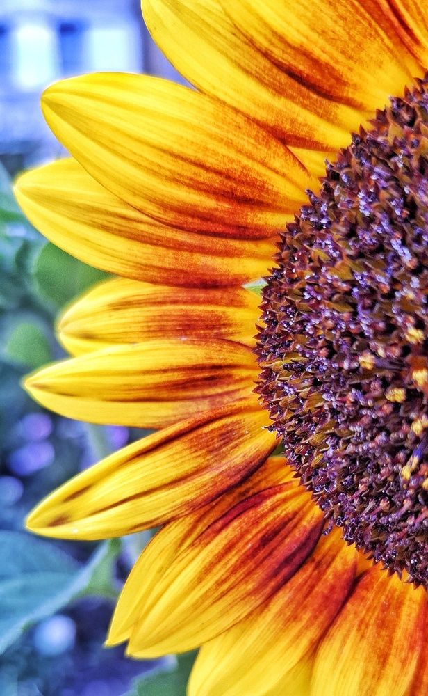 Photograph by Мария Андреева