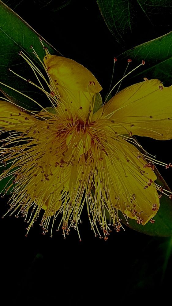 Photograph by Виктория Максименко