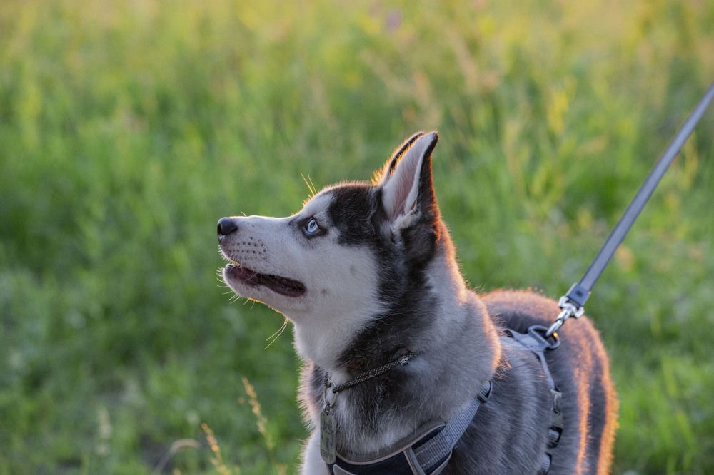 Photograph by Любовь Носова