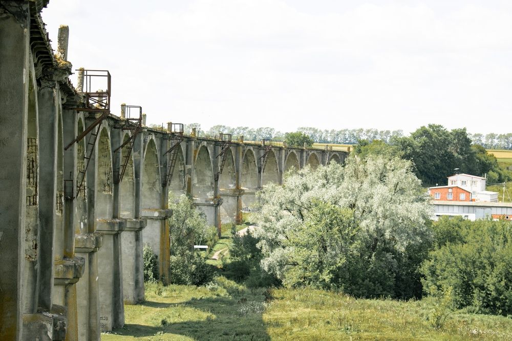 Photograph by Евгений Александрин