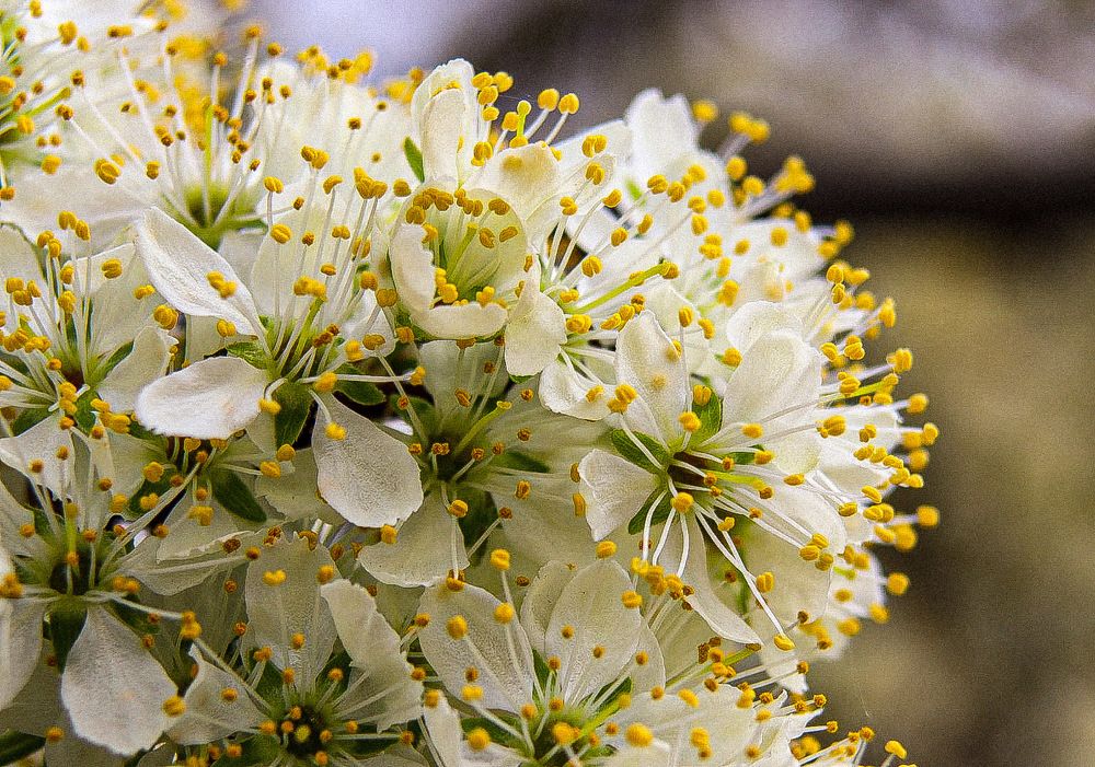 Photograph by Елена Рудкевич