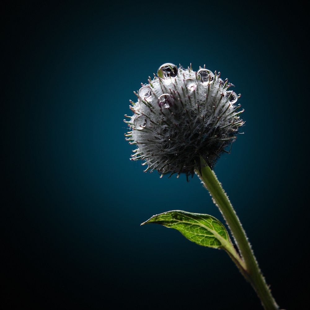 Photograph by Мария Кольцова