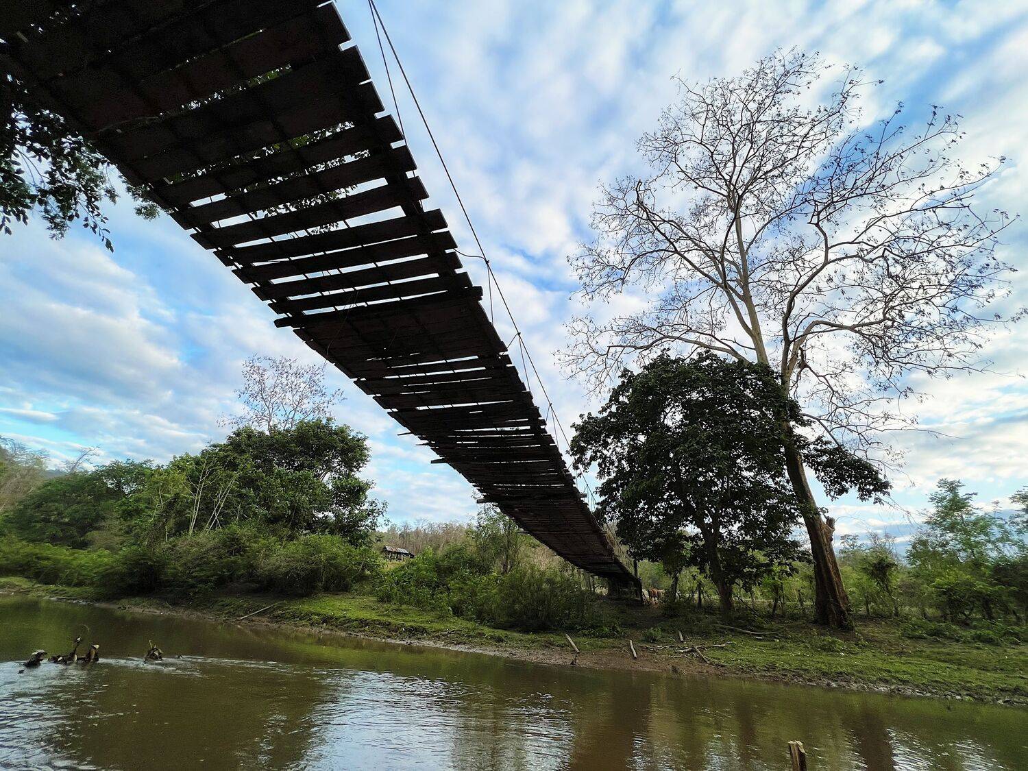 Photo #10909149